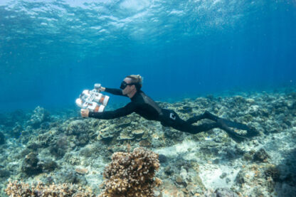 Sublue Whiteshark Tini - Image 3